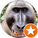 John Doe profile picture
